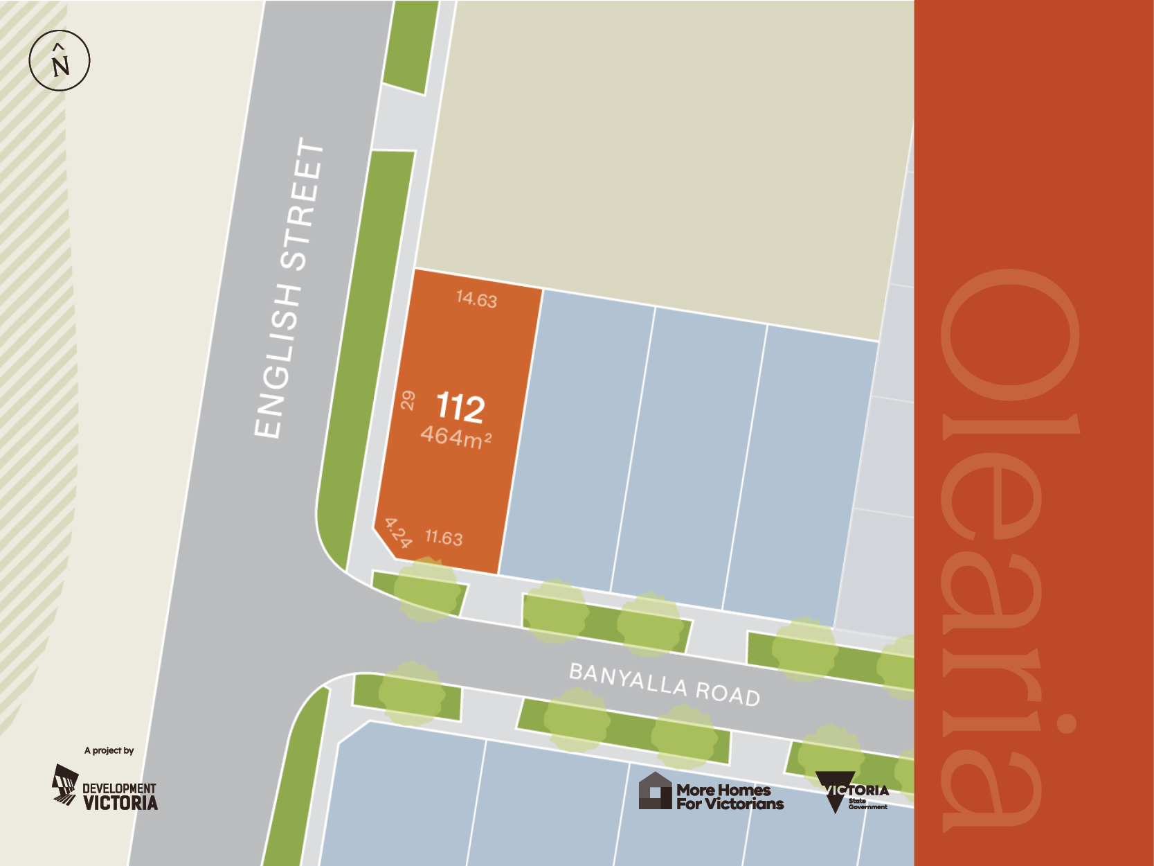 Olearia - Morwell - Lot 112