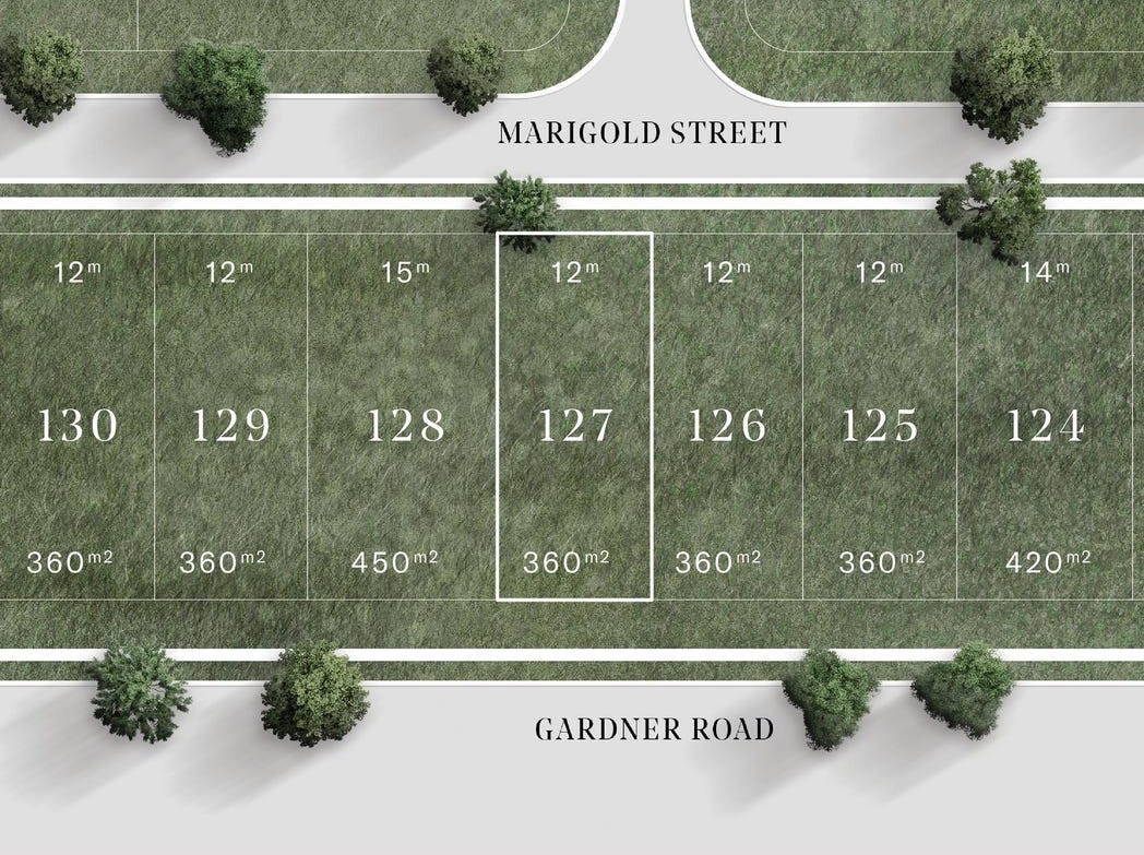 Saint Eves Estate - Rochedale - Lot 127
