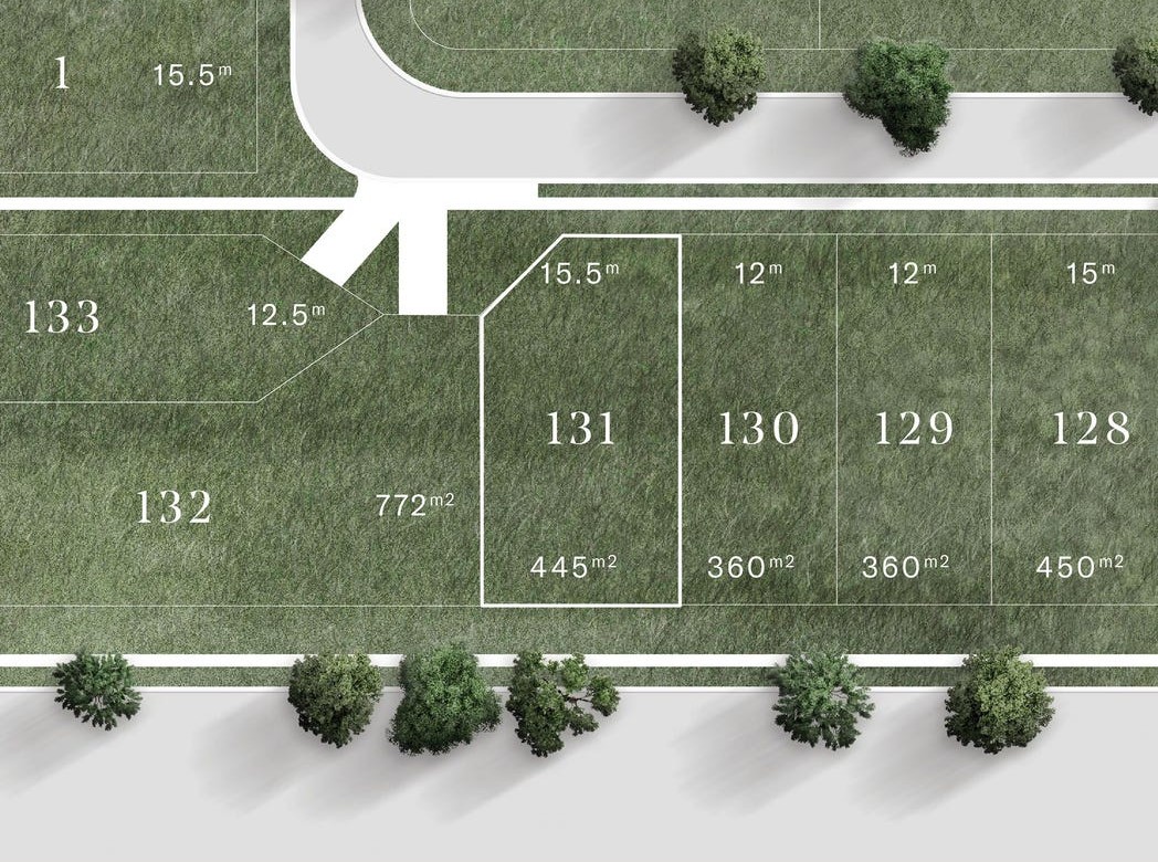 Saint Eves Estate - Rochedale - Lot 131