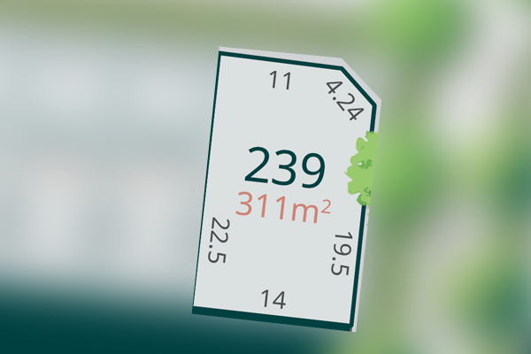 Thornhill Central Estate - Thornhill Park - Lot 239
