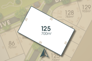 Wirraglen Estate - Highfields - Lot 125