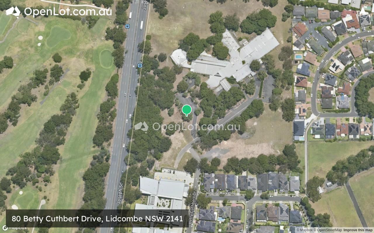 Satellite image for 80 Betty Cuthbert Drive, Lidcombe NSW 2141