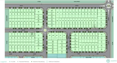 Blue Gum Estate - Corner Eighth Avenue & Fourth Avenue, Austral NSW 2179 - Austral