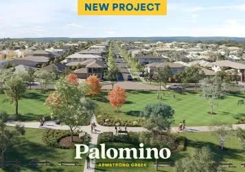 Palomino - Armstrong Creek