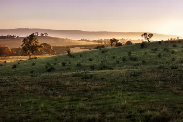 The Ridge at Riverhills Estate - South Morang - 150 Bindts Road, Wollert VIC 3750 - Wollert