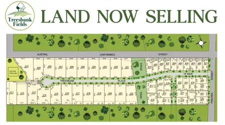 Treesbank Fields Estate - 37-39 Pinchen Street, Nulkaba NSW 2325 - Nulkaba NSW 2325