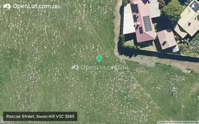 Pascoe Street, Swan Hill VIC 3585 - Swan Hill VIC 3585