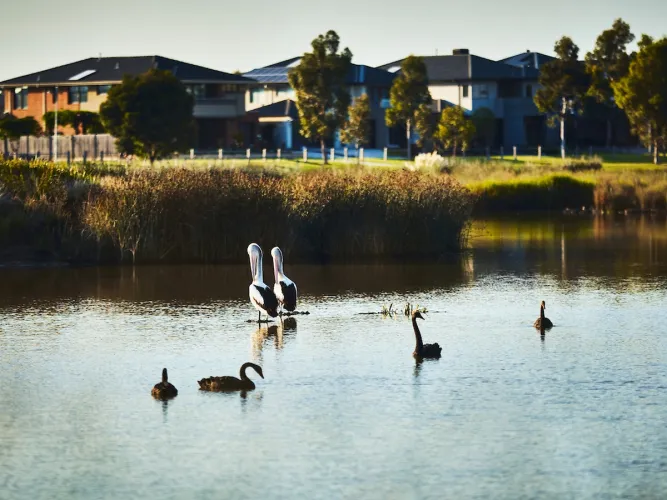 Berwick Waters Estate - Clyde North - Lot 1923