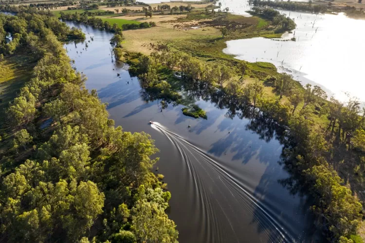 Elloura Estate - Nagambie - Lot 1112