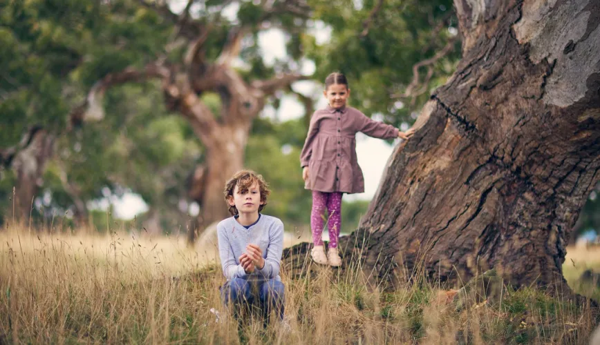 Peppercorn Hill Estate - Donnybrook Lifestyle