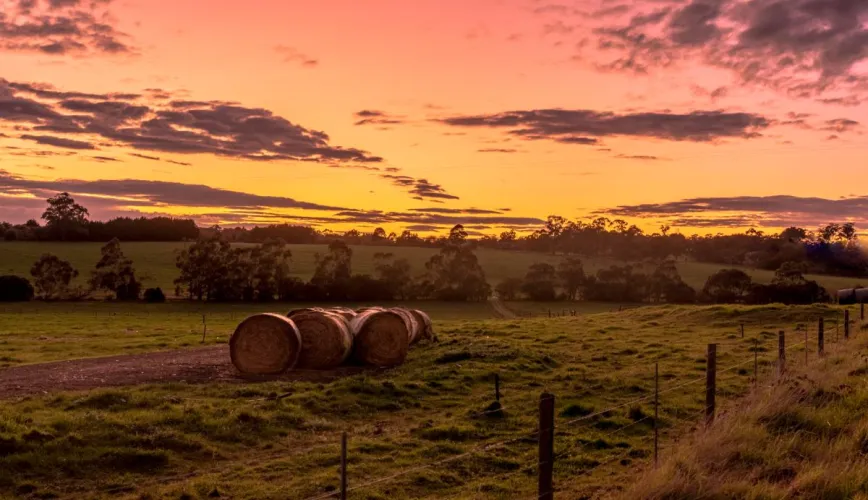 Stony Creek Estate - Drouin Lifestyle