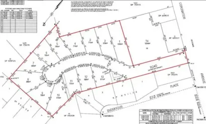 21a Coronation Avenue - Parkes Master Plan