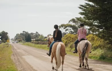 60 Irrewillipe Road - Elliminyt