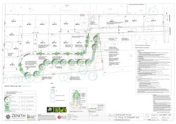 73-77 Stewart Avenue - Hammondville  Masterplan