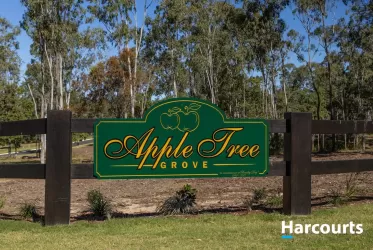 Apple Tree Grove Estate - Apple Tree Creek Streetscape