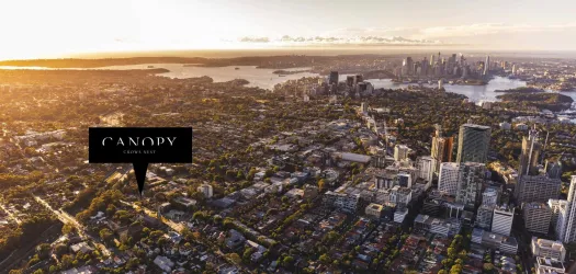 Canopy Estate - Crows Nest Aerial