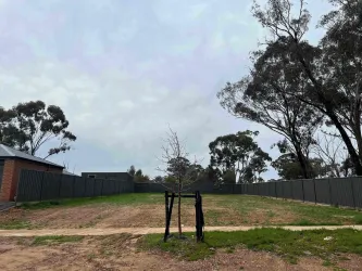 Canterbury Estate - Jackass Flat