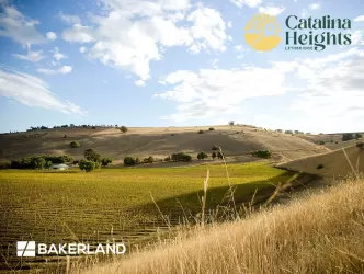 Catalina Heights Estate - Lethbridg Aerial