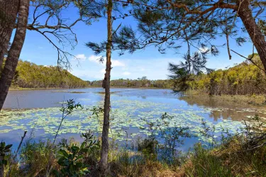 Central Springs Estate - Caboolture 