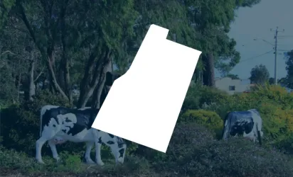 Cowaramup Estate - Cowaramup