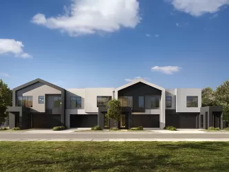 Echo Townhomes in Alira - Berwick Streetscape