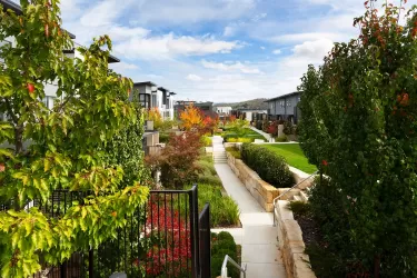 Elio Estate - Denman Prospect