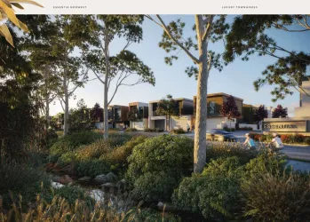 Essentia Townhomes Norwest - Bella Vista Render