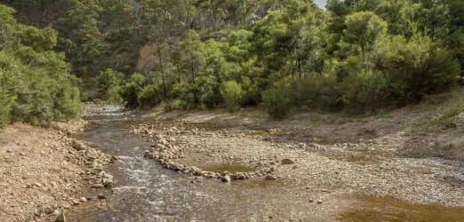 Holts Estate - Darley Lifestyle 3