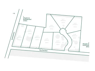 Littlewoods Wingello Estate - Wingello Masterplan