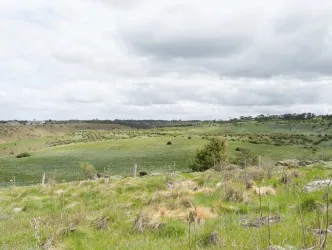Maplestone Estate - Sunbury Aerial