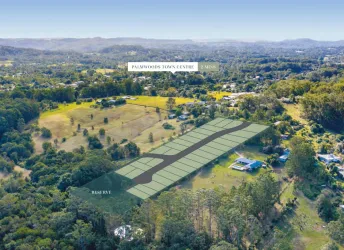 McKays Lane Estate - Palmwoods Aerial