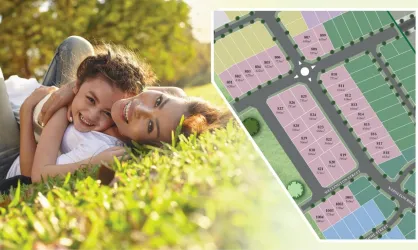 Mitchell Grove Estate - Moe Release Map