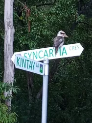 Narara Ecovillage - N Park