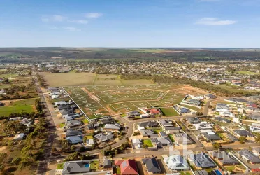 Paddlesteamer Estate - Mannum Aerial