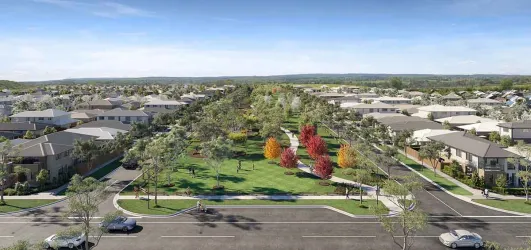 Palomino - Armstrong Creek