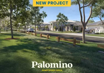 Palomino - Armstrong Creek
