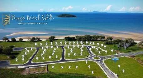 Pappy-s Beach Estate - Shoal Point Aerial