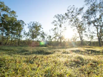 Park Lake Estate - Adare 