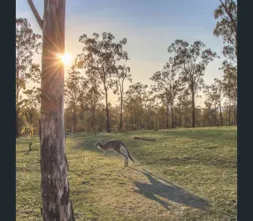 Parklands at Clarendon Estate - Rifle Range 