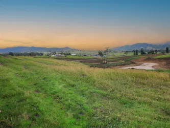 Pine Tree Hill Kilcoy Estate - Winya 