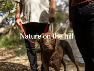 Redstone Estate - Sunbury