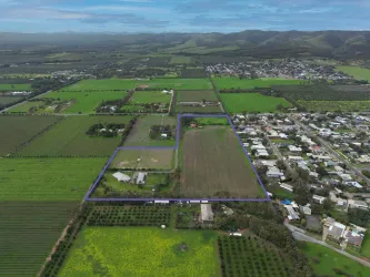 Sellicks Estate - Sellicks Beach Aerial