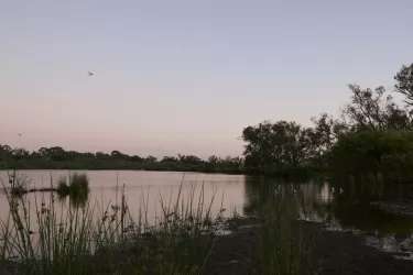 Springtime Estate - Haynes 