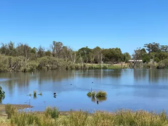 Springtime Estate - Haynes 