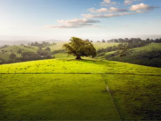 Stockland Figtree Hill - Gilead Aerial