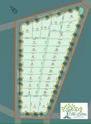 The Elms - Newborough Masterplan
