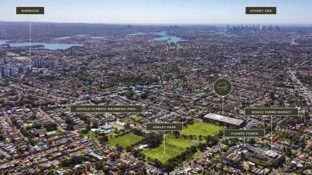 The Henley Estate - Enfield Aerial