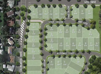 The Pocket Estate - Collingwood Park