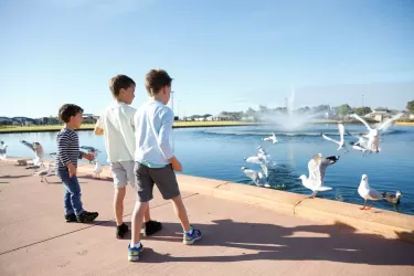 The Rivergums Estate - Baldivis