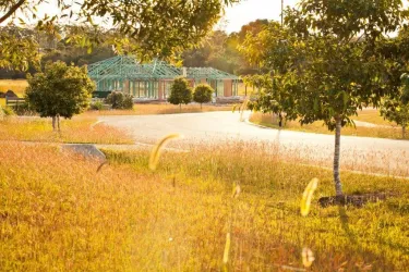 Timbers Reserve Estate - Oakhurst Streetscape